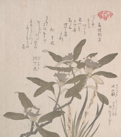 Daphne odora and Mojisuri-so by Kubo Shunman