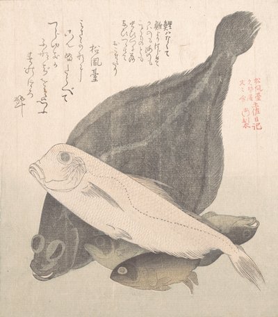 Flounder and Other Fishes, 19th Century by Kubo Shunman