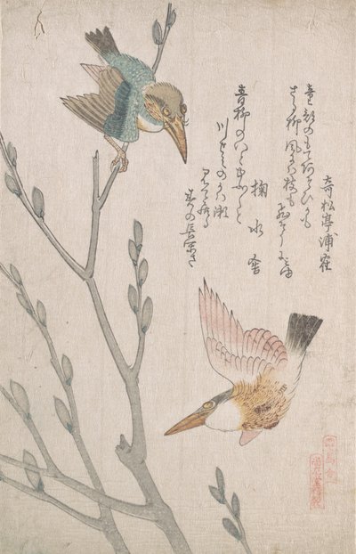 Kingfishers and Pussy-willow by Kubo Shunman