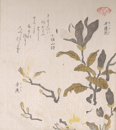 Magnolia Flowers by Kubo Shunman