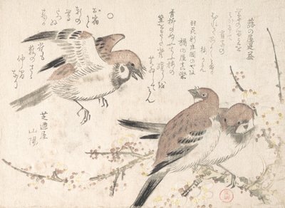 Sparrows and Plum Blossoms, 19th century by Kubo Shunman