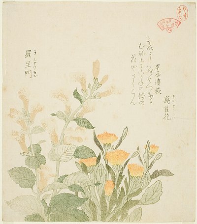 The Common Marigold and The Rajoman Flowers by Kubo Shunman