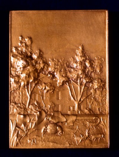 Insects, 1911 by L. Patriarche