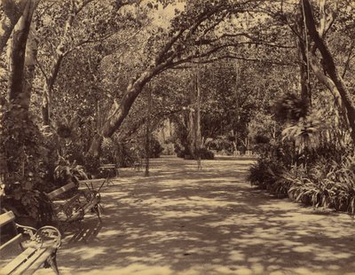 Sookh-Vilas Palace Garden by Lala Deen Dayal