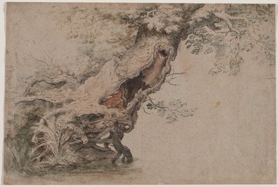 Hollow Tree, after Roelant Savery by Lambert Doomer