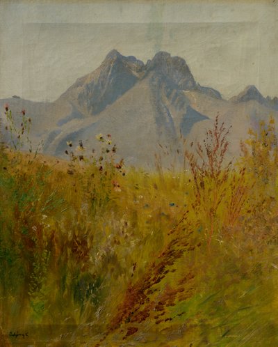 Lomnický Peak by Laszlo Mednyanszky