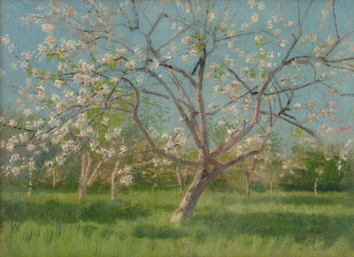 Orchard Trees in Blossom by Laszlo Mednyanszky