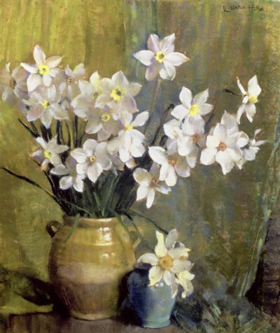 Narcissus by Laura Coombs Hills