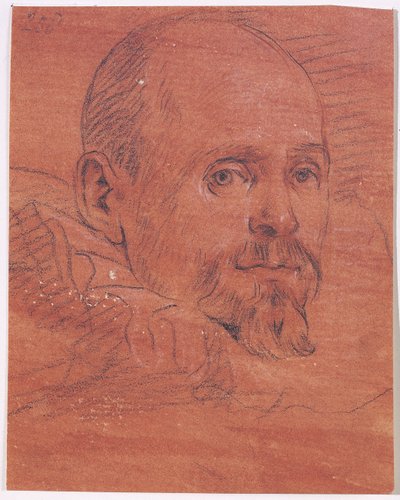 Portrait of a Man by Lazzaro Tavarone