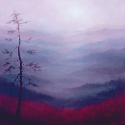 Alpine Pink by Lee Campbell