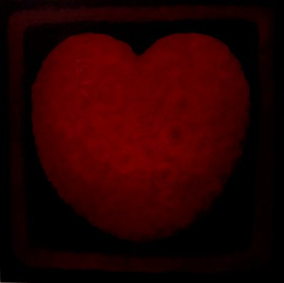Big Love by Lee Campbell