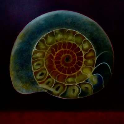 Green Ammonite, 2020 by Lee Campbell