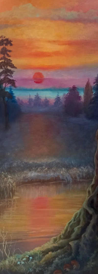 Northern Light by Lee Campbell
