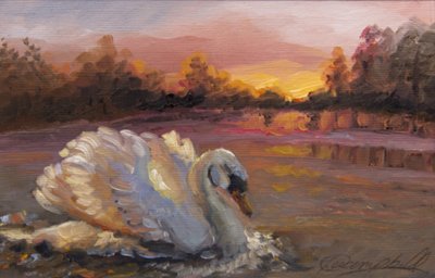 Swan at Sunrise, 2016 by Lee Campbell