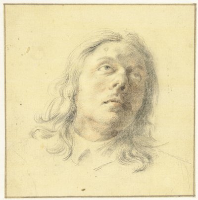 Head of a Man, Looking Up by Leendert van der Cooghen