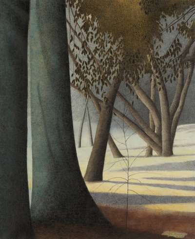 Beech Trunks by Leon Spilliaert