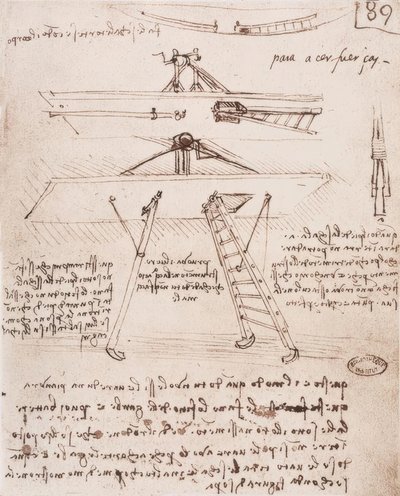 Takeoff and Landing Device of a Flying Machine by Leonardo da Vinci