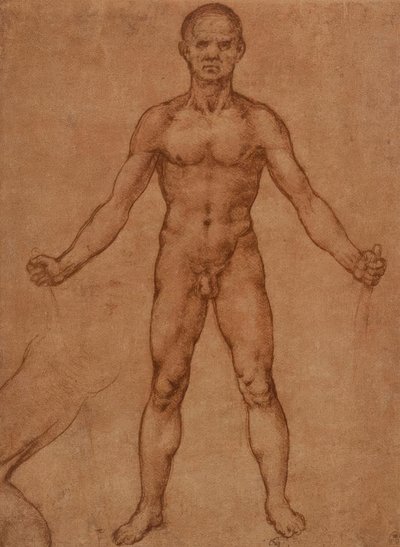 Study of a Standing Nude Man, Frontal by Leonardo da Vinci