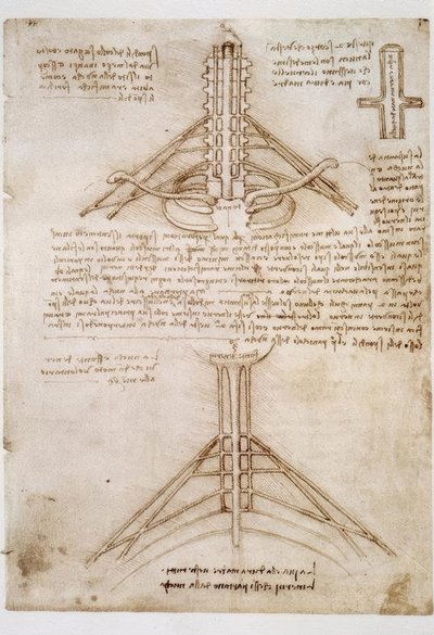 Anatomy Studies by Leonardo da Vinci