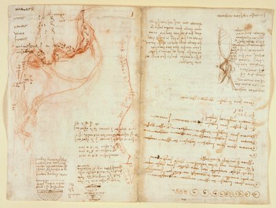 Arundel 263, f.148v by Leonardo da Vinci