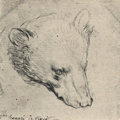 Head of a Bear, c1480 1945 by Leonardo da Vinci