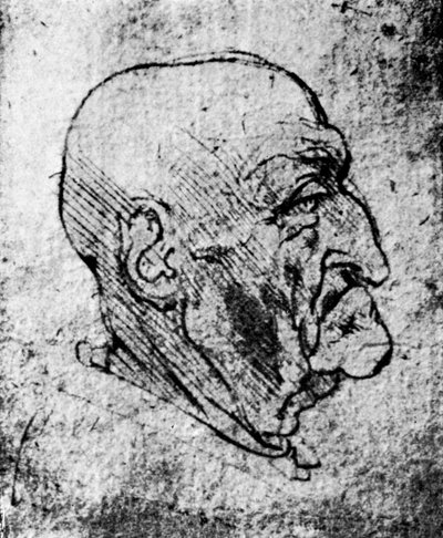 Head of an Old Man, 1913 by Leonardo da Vinci