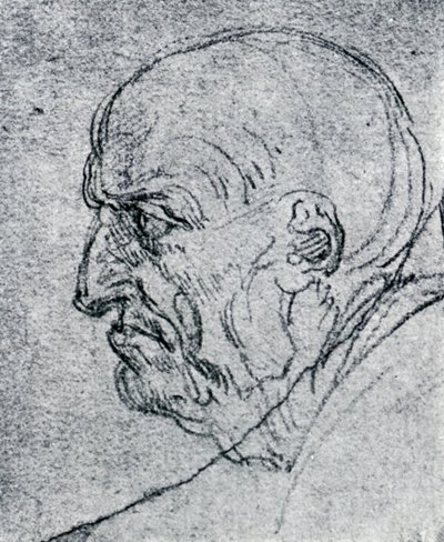 Head of an Old Man by Leonardo da Vinci