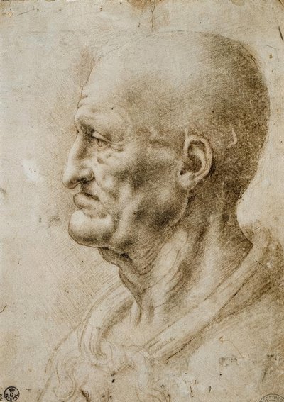 Head Study of an Old Man by Leonardo da Vinci