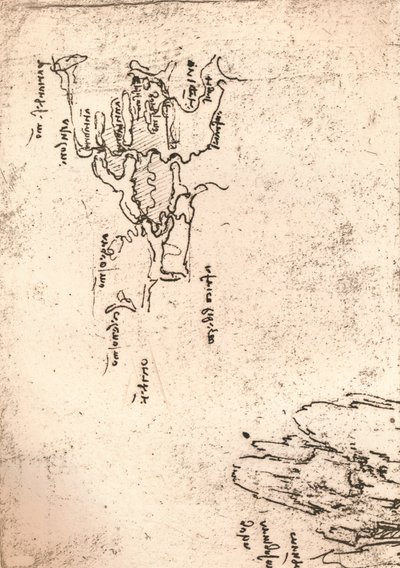Sketch Map of Armenia by Leonardo da Vinci