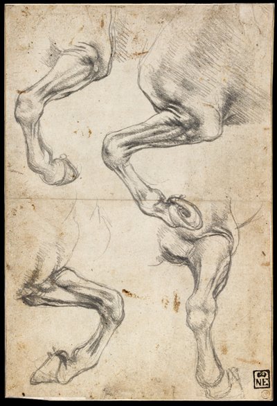 Studies of Horses Leg by Leonardo da Vinci