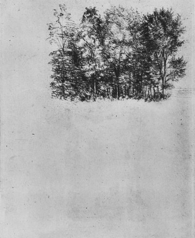 Study of a Coppice by Leonardo da Vinci