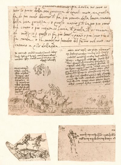 Three drawings by Leonardo da Vinci
