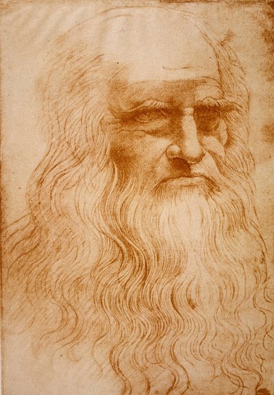 Unknown Image by Leonardo da Vinci