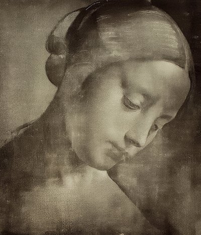 Female Head. Ca. 1470-1519 by Leonardo da Vinci
