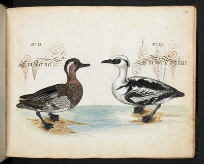 Add MS 6485 by Leonhard Baldner