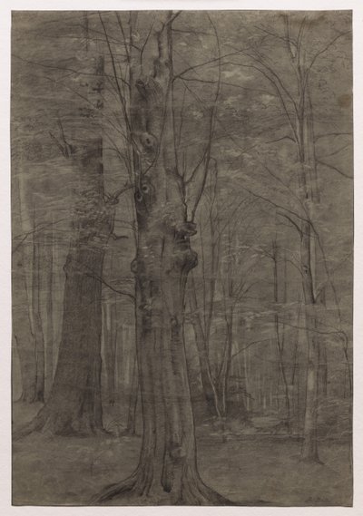 Trees by Leopold Bode