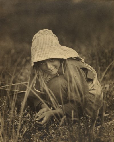 Cranberry Picker, New Jersey by Lewis W. Hine