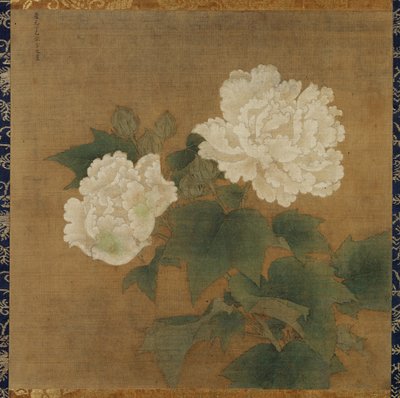 White Hibiscuses by Li Di