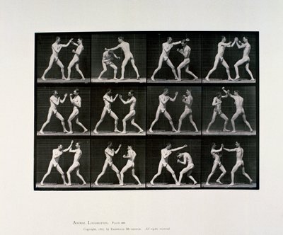 Nude Male Athletes Boxing by Unbekannt Unbekannt