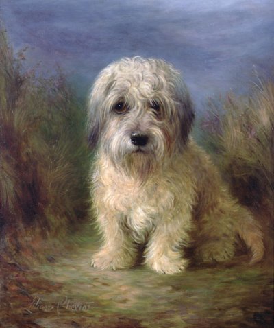 Dandie Dinmont Terrier by Lilian Cheviot