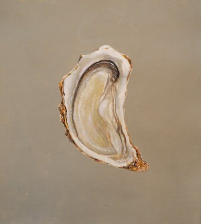 Oyster 2 by Lincoln Seligman