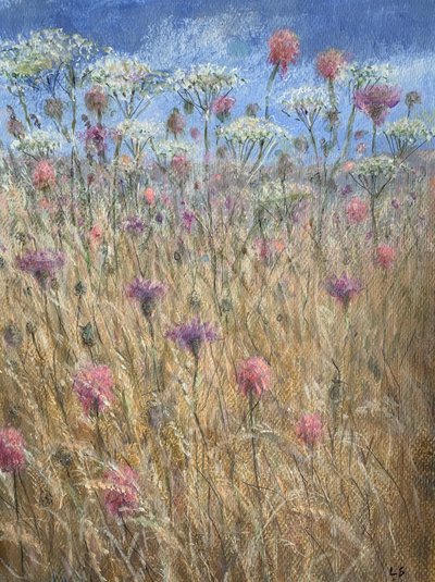 Scabious by Lincoln Seligman