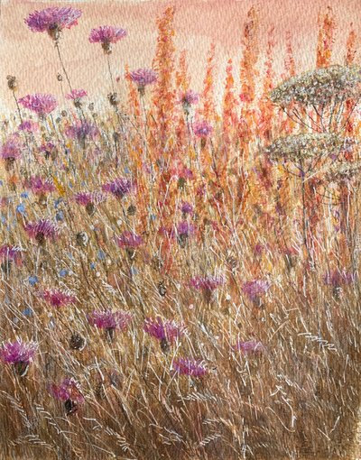 Scabious & Docks by Lincoln Seligman