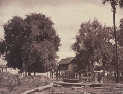 Tsagain Myo: View near the Irrawadi River by Linnaeus Tripe