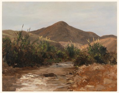Near Jericho, Wady Kilt by Lockwood de Forest