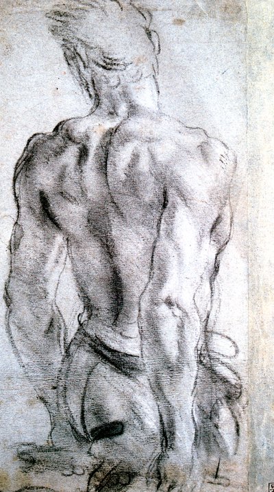 Study of a Figure by Lodovico Carracci