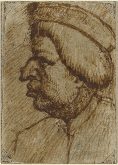 Profile of a Man by Lombard 16th Century