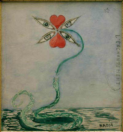 The Enchantment by Léona Camille Ghislaine Delcourt