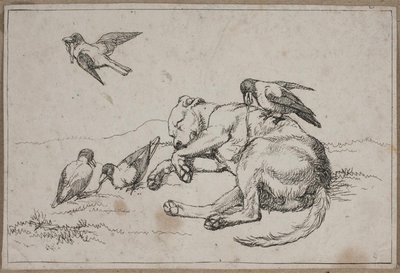 Picture 9 from A Dog