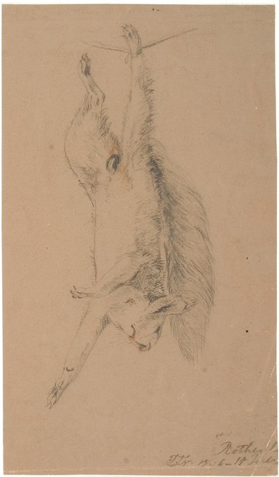 A Hung Dead Squirrel by Lorenz Frølich